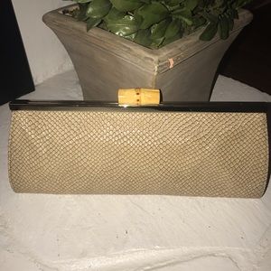 Snakeskin clutch